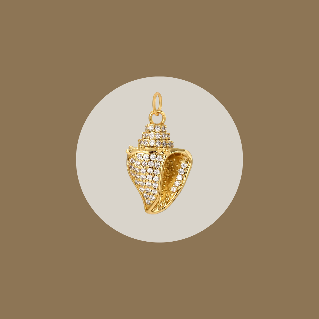 Seashell image 0