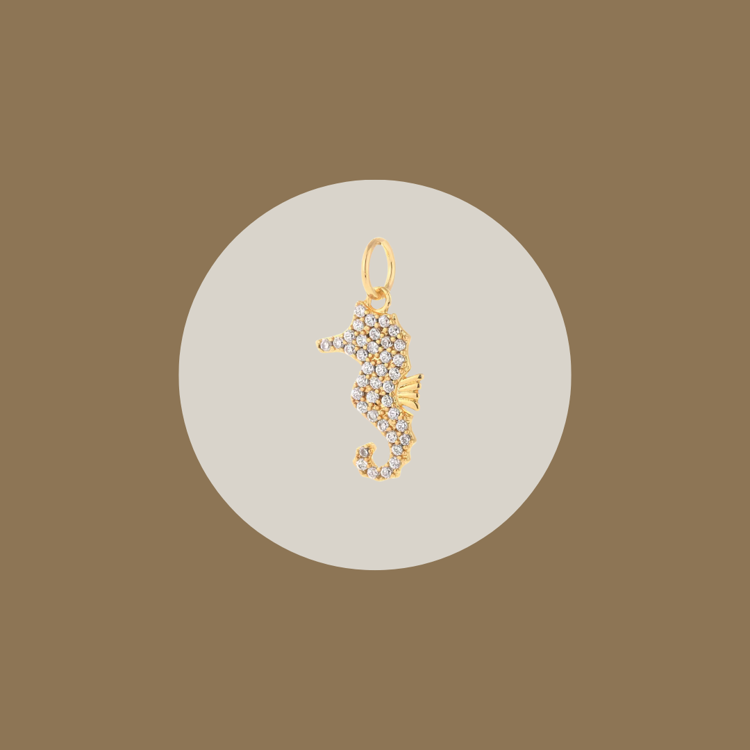 Seahorse image 0