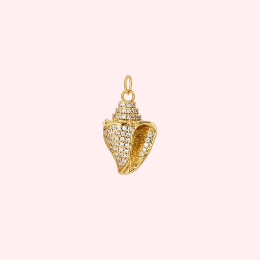 Seashell