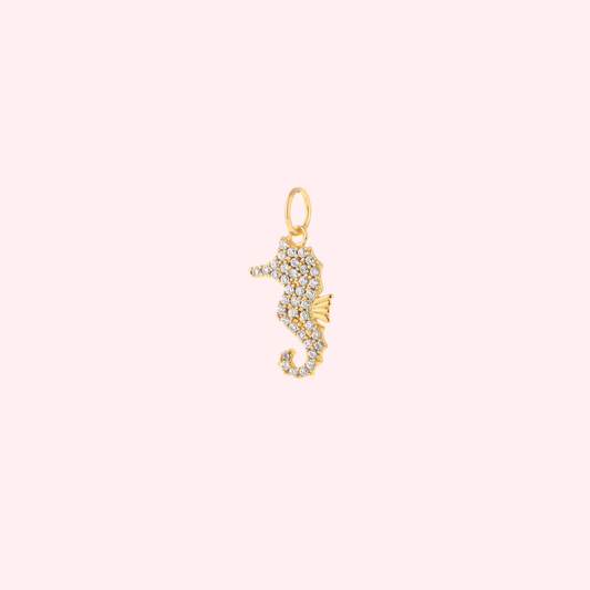 Seahorse