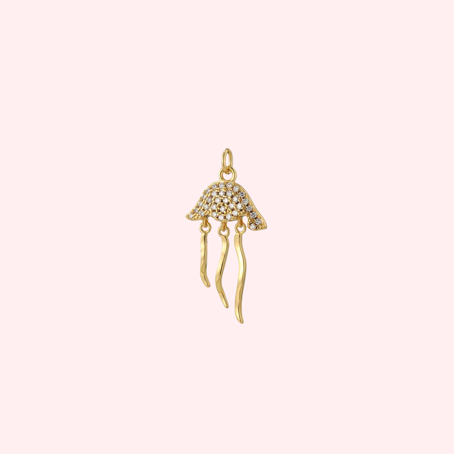 Jellyfish