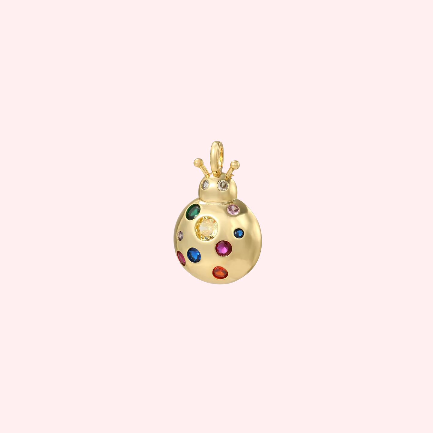 Colorful Ladybug