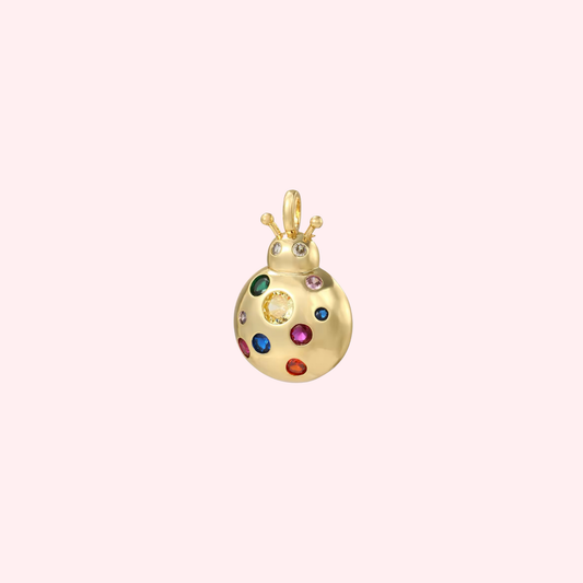 Colorful Ladybug